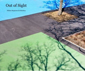Out of Sight book cover