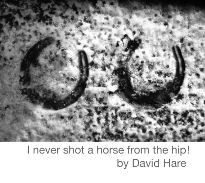 I never shot a horse from the hip! book cover
