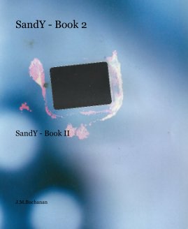 SandY - Book 2 book cover