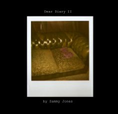 Dear Diary II book cover