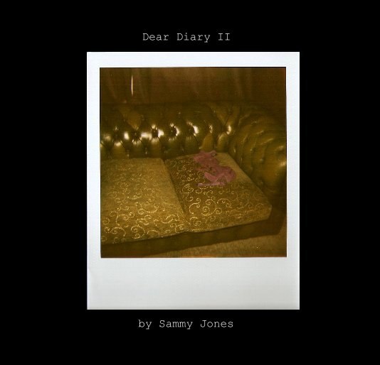 View Dear Diary II by Sammy Jones