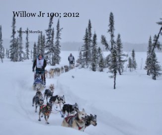 Willow Jr 100; 2012 book cover