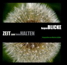 AugenBlicke (klein) book cover