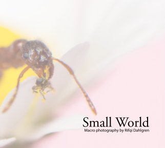 Small world book cover