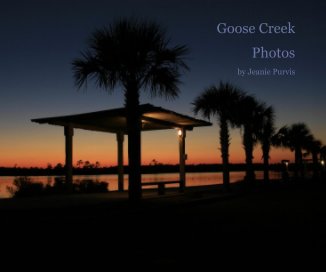 Goose Creek book cover