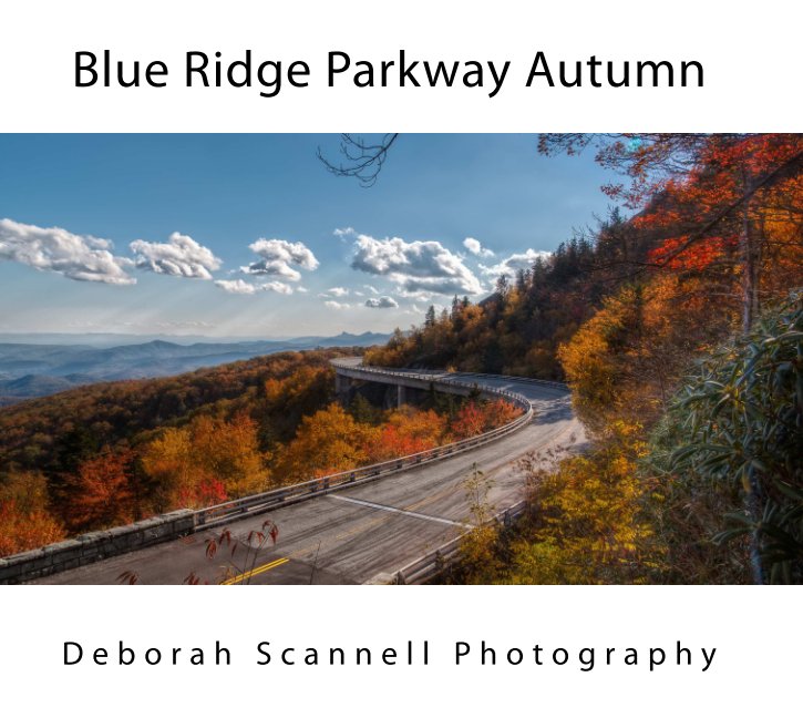View Blue Ridge Parkway Autumn by Deborah Scannell