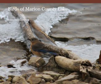 Birds of Marion County Lake book cover