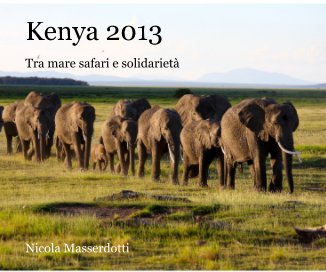 Kenya 2013 book cover