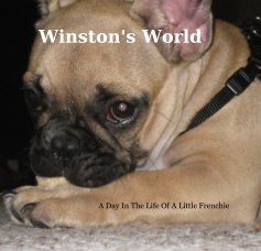 Winston's World book cover