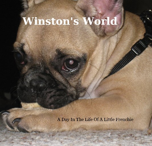 View Winston's World by G. Edwin Hammond