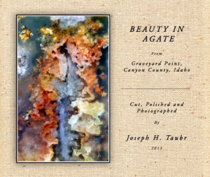BEAUTY IN AGATE
From Graveyard Point, Canyon County, Idaho book cover