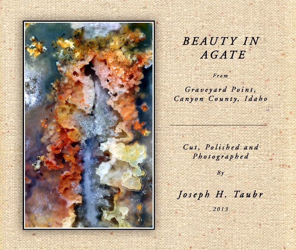 View BEAUTY IN AGATE
From Graveyard Point, Canyon County, Idaho by Joseph H. Taubr