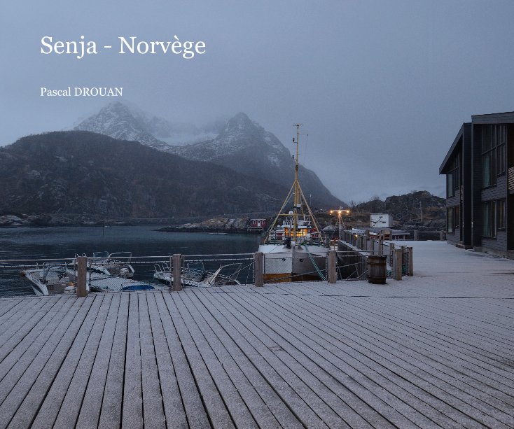 View Senja - Norvège by Pascal DROUAN