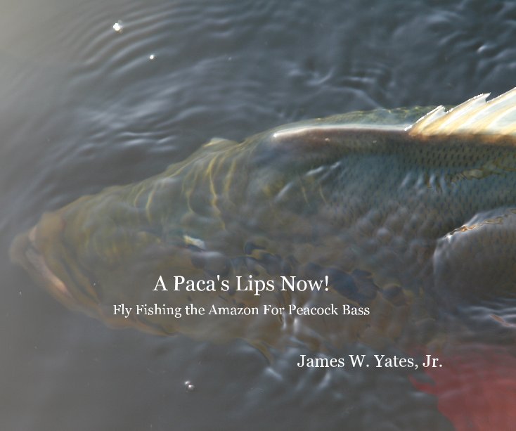 A Paca's Lips Now! Fly Fishing the Amazon For Peacock Bass James W. Yates, Jr. nach James W. Yates, Jr. anzeigen