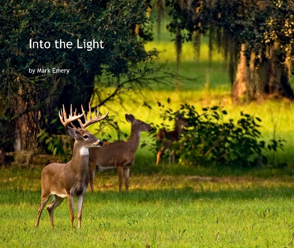 Ver Into the Light por Mark Emery