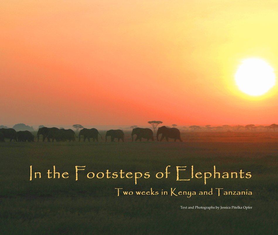 Ver In the Footsteps of Elephants por Jessica Pitelka Opfer