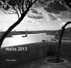 Malta 2013 book cover