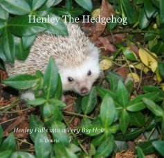 Henley The Hedgehog book cover