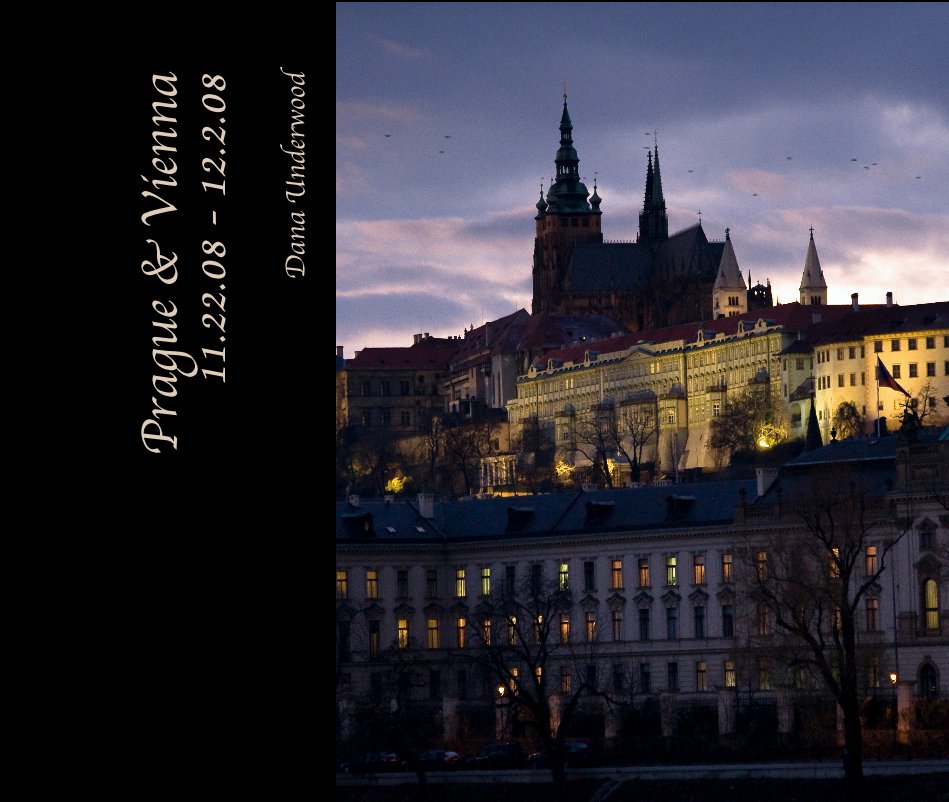 Visualizza Prague & Vienna 11.22.08 - 12.2.08 di Dana Underwood