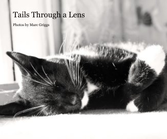 Tails Through a Lens book cover