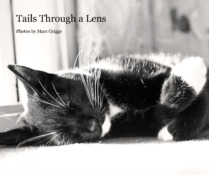 Ver Tails Through a Lens por marcgriggs