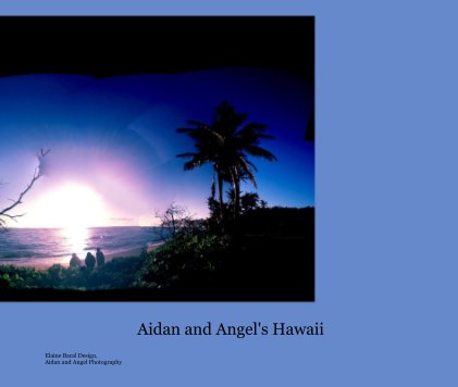 Aidan and Angel's Hawaii book cover