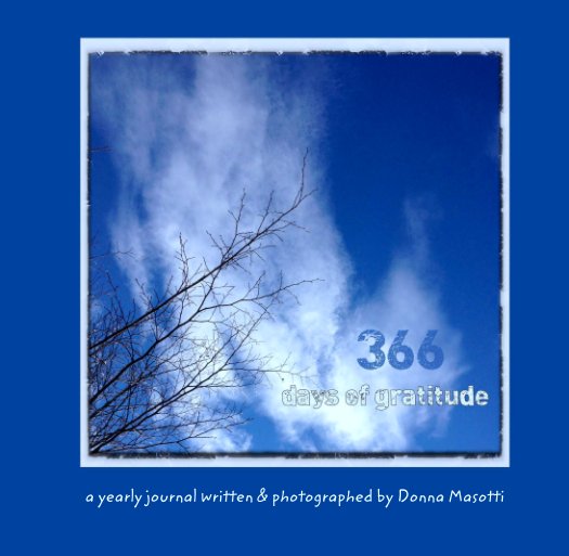 View 366
days of gratitude by Donna Masotti
