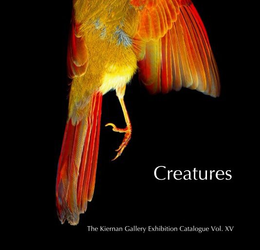 View Creatures by The Kiernan Gallery