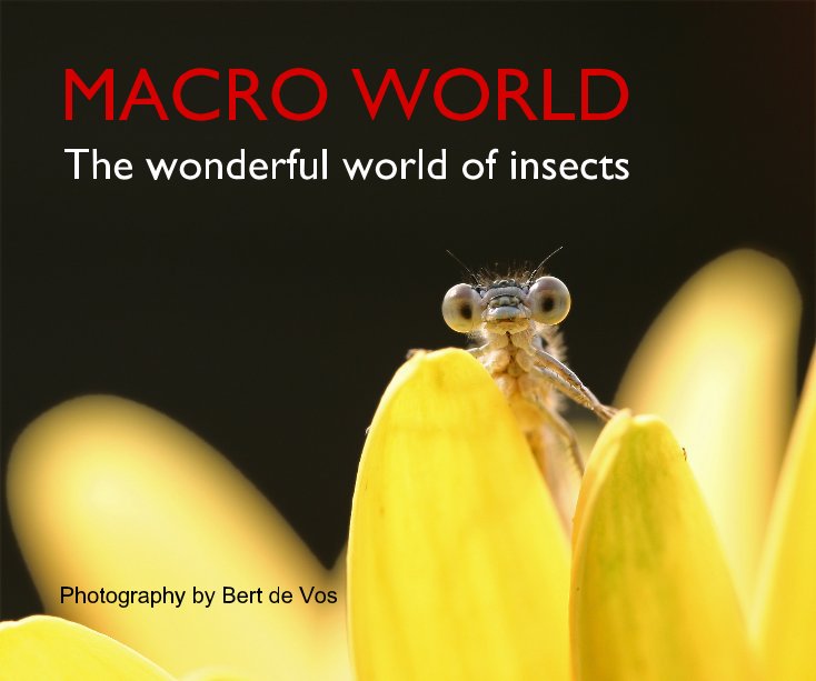 View MACRO WORLD by Bert de Vos
