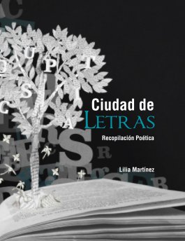 Ciudad de Letras book cover