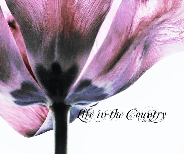 Bekijk Life in the Country op perksfilm