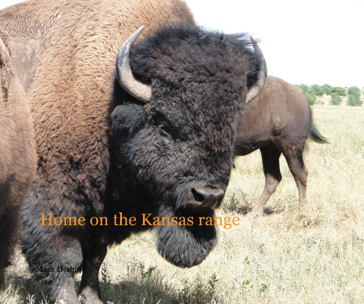 View Home on the Kansas range by Mark Herbig