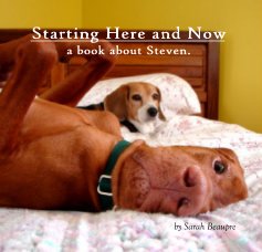 Starting Here and Now book cover