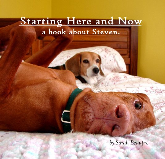 View Starting Here and Now by Sarah Beaupre