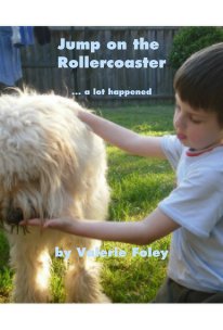 Jump on the Rollercoaster ... a lot happened book cover
