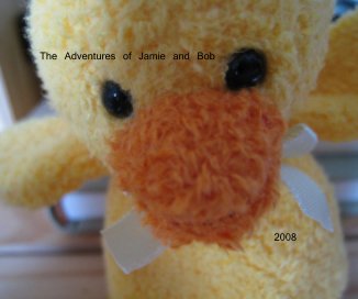 The Adventures of Jamie and Bob 2008 book cover