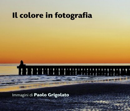 Il colore in fotografia book cover