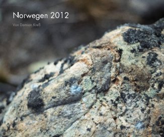 Norwegen 2012 book cover