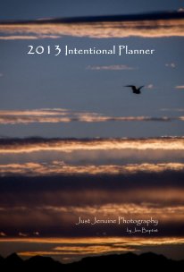2013 Intentional Planner book cover