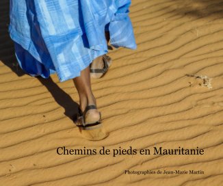 Chemins de pieds en Mauritanie book cover