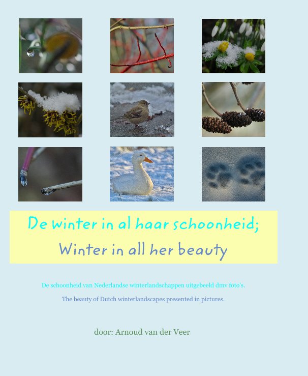 View De winter in al haar schoonheid; Winter in all her beauty by door: Arnoud van der Veer