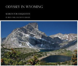 Odyssey in Wyoming book cover