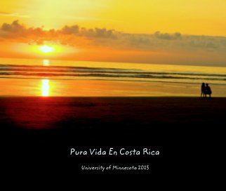 Pura Vida En Costa Rica book cover