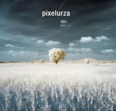pixelurza book cover