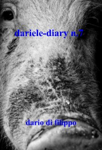 dariele-diary n.7 book cover