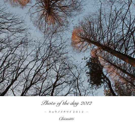 Visualizza Photo of the day 2012 di Chiemitti
