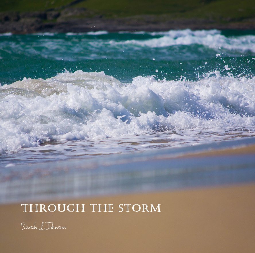 View Through the Storm by Sarah L Johnson