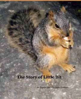 The Story of Little Bit book cover