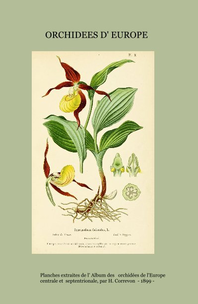 View ORCHIDEES D' EUROPE by Planches extraites de l' Album des orchidées de l'Europe centrale et septentrionale, par H. Correvon - 1899 -