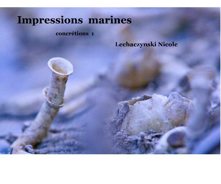View Impressions marines by Lechaczynski Nicole